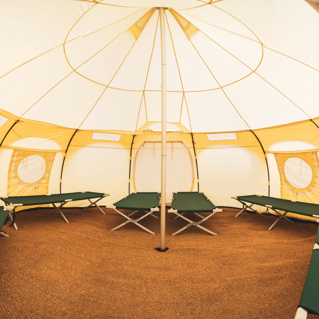 OAG25 I Prepitched I Lotus Belle