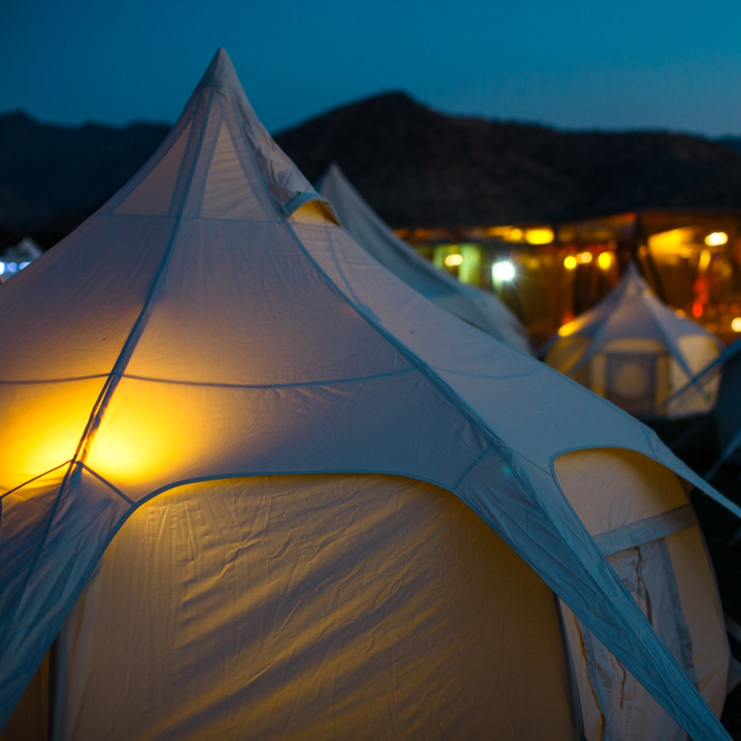 GF26 lotus belle glamp