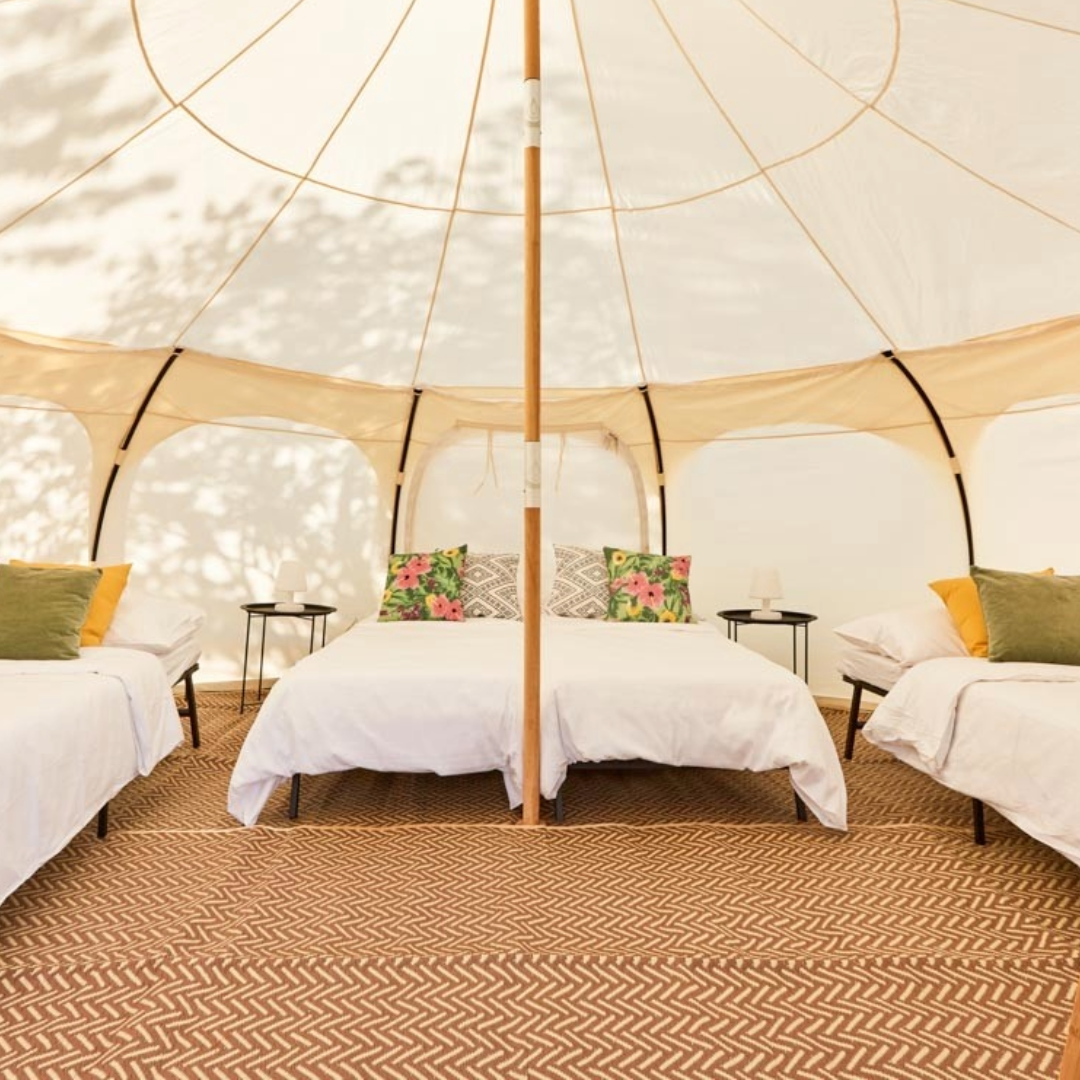 GF26 lotus belle glamp