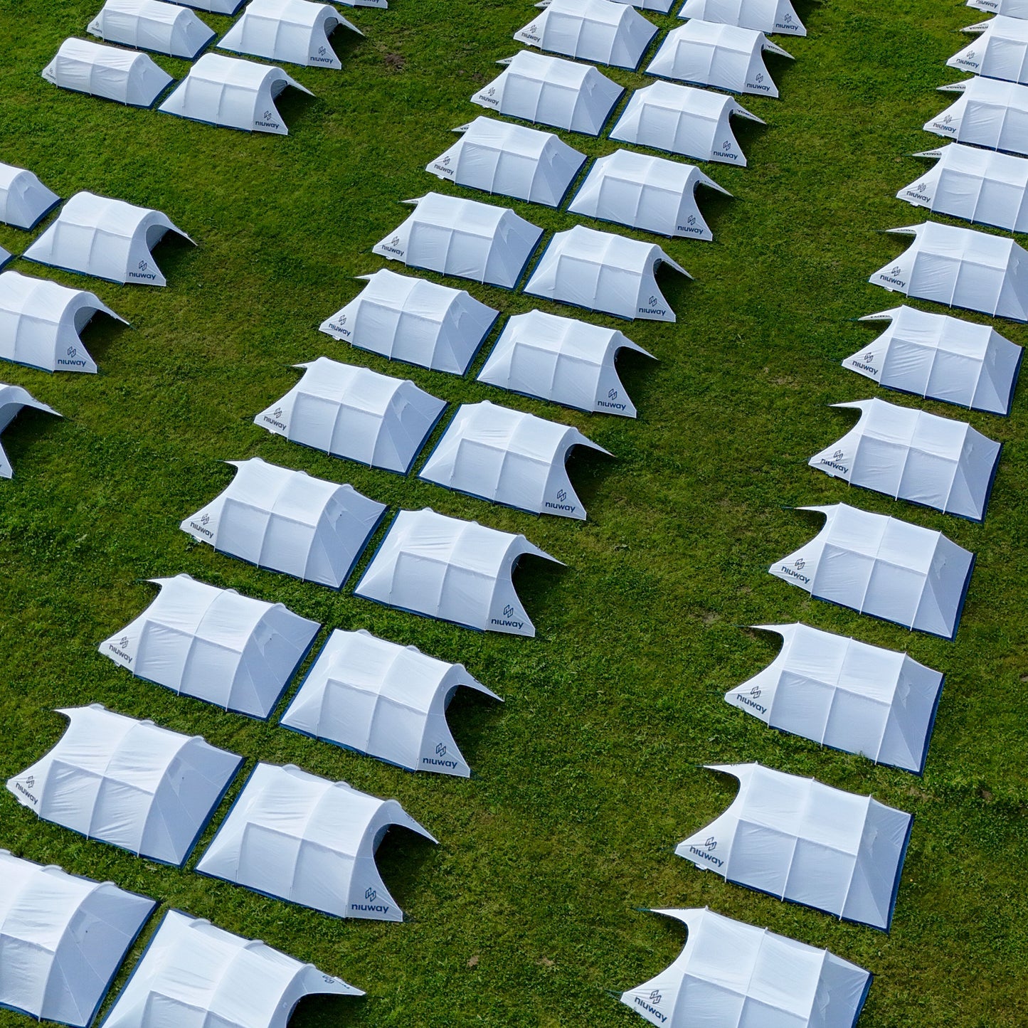 Glücksgefühle 2025